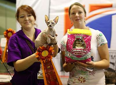   20-21  2014 WCF-  9-297-169A2068 copy.jpg